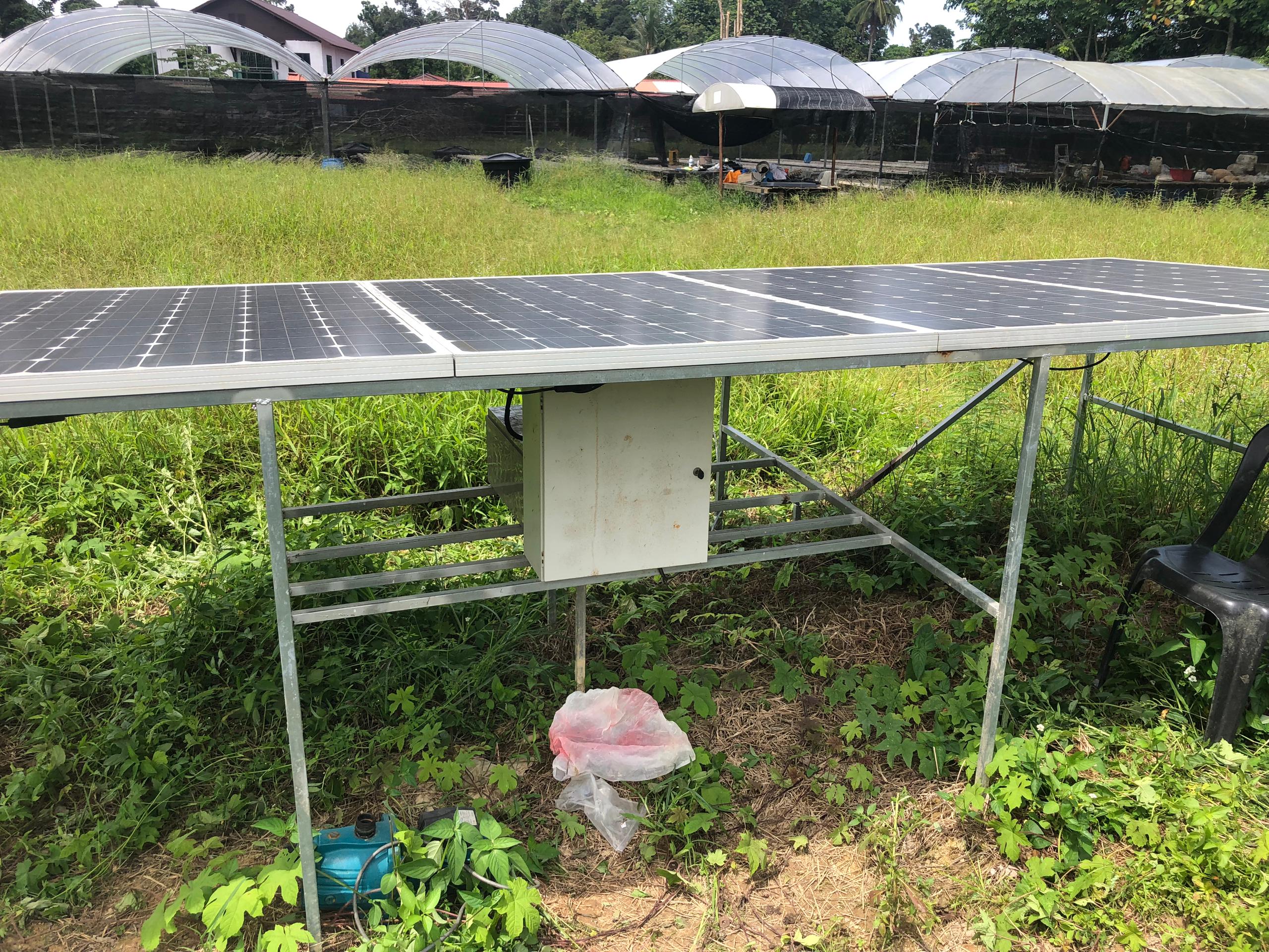 Kebun En. Kamal – Pasir Tumboh